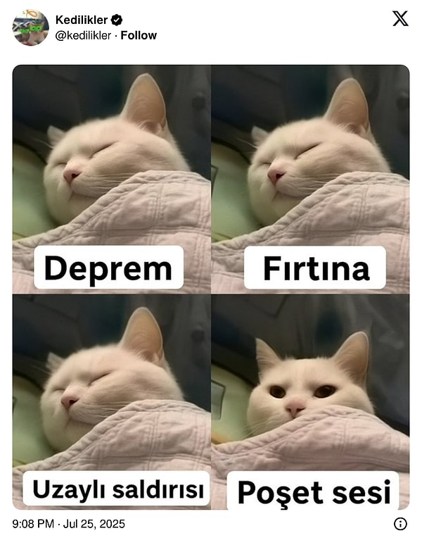 😻