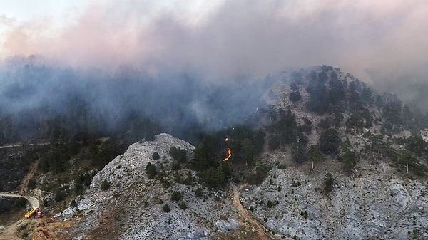 Antalya Alanya'ya bağlı yaylalarda da bugün yangın vardı. Kontrol altına alma çalışmaları hızlandı ve yangın söndürme çalışmaları sürüyor.