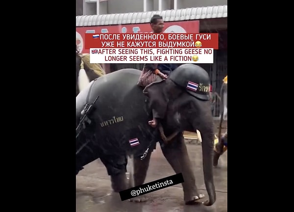 Tarihte filler, özellikle Antik Hindistan, Pers İmparatorluğu, Kartaca ve Güneydoğu Asya’da savaşlarda aktif olarak kullanılmış.