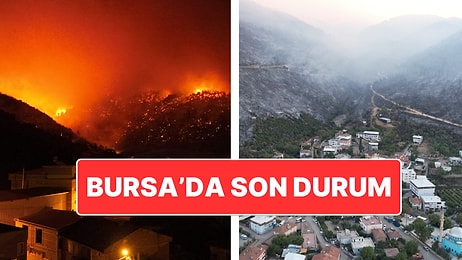 Bursa’da Orman Yangını: Yangının Acı Boyutu Gün Ağarınca Ortaya Çıktı