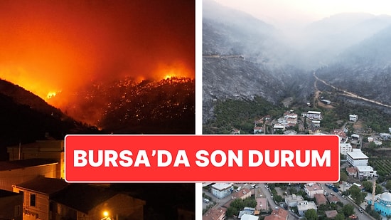 Bursa’da Orman Yangını: Yangının Acı Boyutu Gün Ağarınca Ortaya Çıktı
