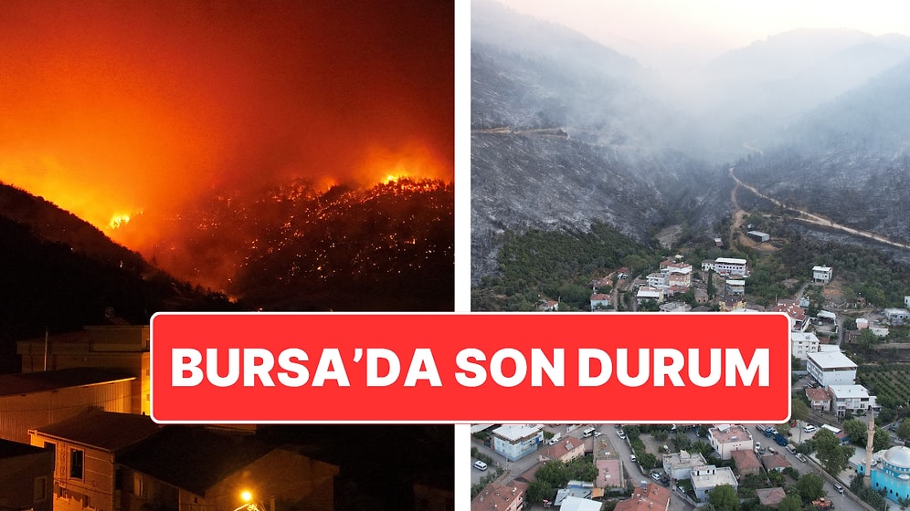 Bursa’da Orman Yangını: Yangının Acı Boyutu Gün Ağarınca Ortaya Çıktı