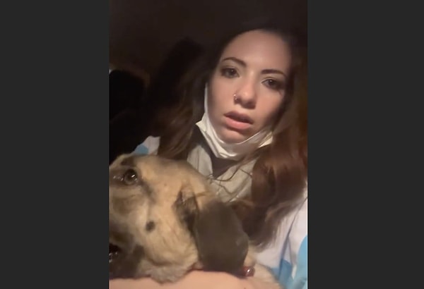 Bursa'da yangının hayvan barınağına yaklaştığını öğrenen hayvanseverler, barınaktaki hayvanları kurtarmak için seferber oldu.