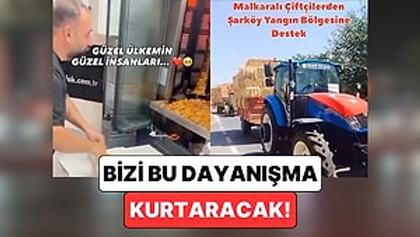 Ülkemizin Dört Bir Yanı Yangın ile Mücadele Ederken Elini Taşın Altına Koyan Vatandaşlar Umutları Yeşertti