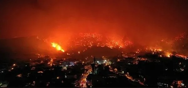 Bursa Valiliği, kentteki orman yangınlarına ilişkin Cumhuriyet Başsavcılığı tarafından soruşturma başlatıldığını bildirdi.