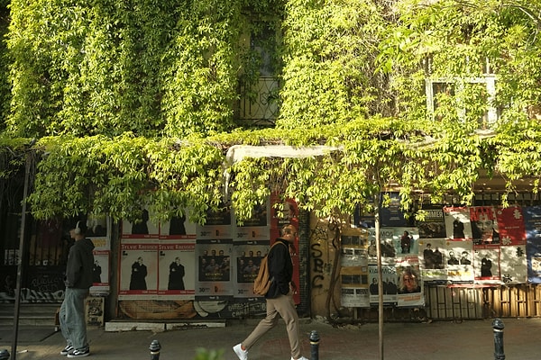 Where Do Celebrities Hang Out in Istanbul?