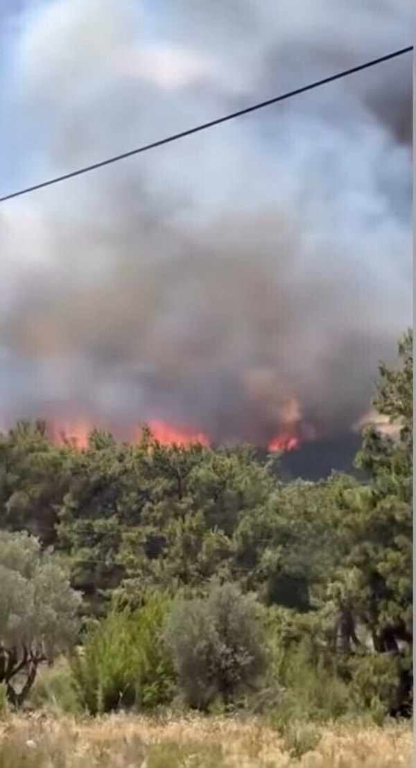 Gökdere Mahallesi'ndeki ormanda, saat 12.30 sıralarında orman yangını çıktı.
