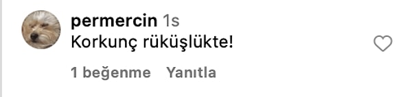 👇️