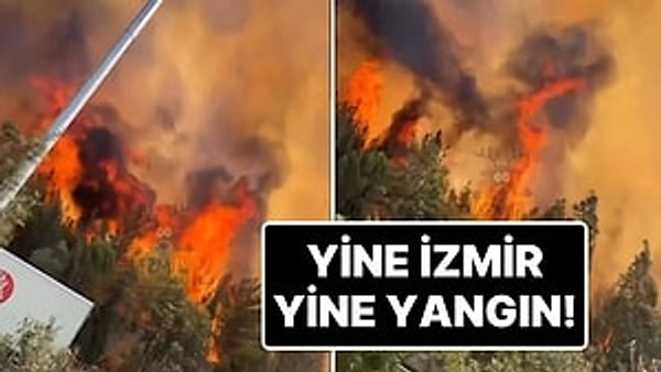 İzmir’in Bornova ilçesinde orman yangını çıktı.