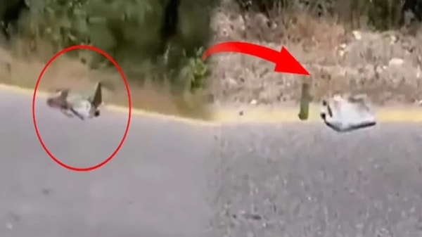 Cam şişelerle ormanları yakmak için tuzaklar kurulmuş!