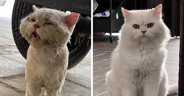 1. O zaman açılışımızı bu dünyalar güzeliyle yapalım! 😻