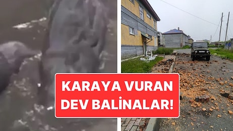 Rusya’da 8.8 Büyüklüğünde Deprem: Deprem Anında Çekilen Korkunç Görüntüler!