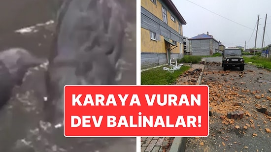 Rusya’da 8.8 Büyüklüğünde Deprem: Deprem Anında Çekilen Korkunç Görüntüler!