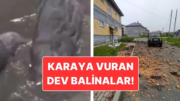 Rusya’da 8.8 Büyüklüğünde Deprem: Deprem Anında Çekilen Korkunç Görüntüler!