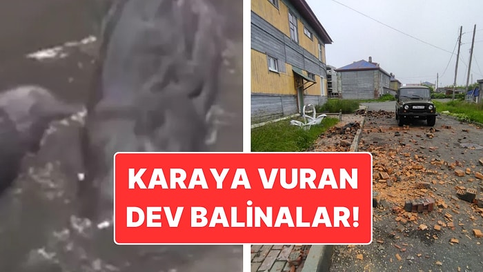 Rusya’da 8.8 Büyüklüğünde Deprem: Deprem Anında Çekilen Korkunç Görüntüler!