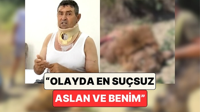Antalya'da Aslanın Saldırısına Uğrayan Süleyman Kır Aslan Zeus'un Öldürülmesi Hakkında Konuştu