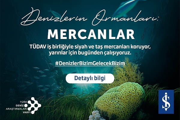 Mercanları Korumak 🤝 Geleceğimizi Korumak