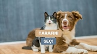 Sen Daha Çok Kedi İnsanı mısın Yoksa Köpek İnsanı mı?