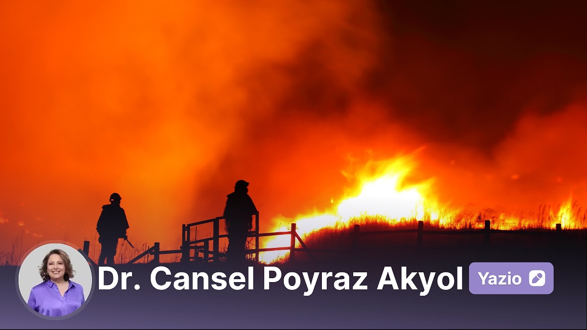 Yangın Çıkar, Yalan Büyür: Afet Anlarında Dezenformasyonun Anatomisi
