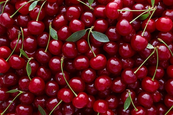 8. Vişne