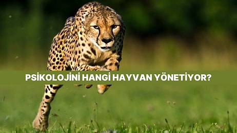 Psikolojin Hangi Vahşi Hayvan Tarafından Yönetiliyor?
