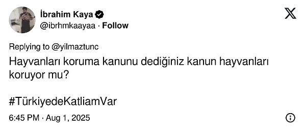 👇🏻