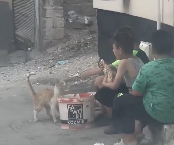Çocukları hayvanlarla dost olarak yetiştirmek, onlara erken yaşta sevgi, empati ve sorumluluk duygusunu aşılamanın en etkili yollarından biri.