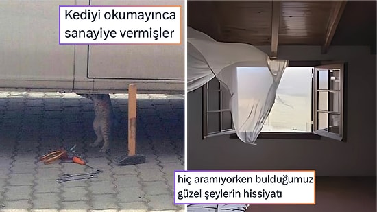 Kış Yaklaşmasını Kutlayanlardan Okumayınca Sanayiye Verilen Kediye 24 Saatin Viral Tweetleri