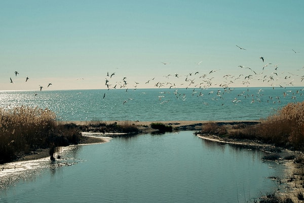 10. Listen to the Sounds of Nature at İzmir Bird Paradise