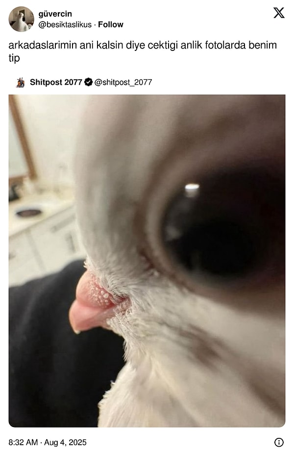 👇