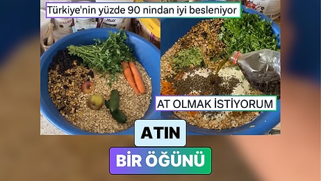 "Granola Plus": At İçin Hazırlanan Bir Öğün Yemek "Bizden İyi Besleniyor" Dedirtti