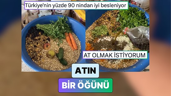 "Granola Plus": At İçin Hazırlanan Bir Öğün Yemek "Bizden İyi Besleniyor" Dedirtti