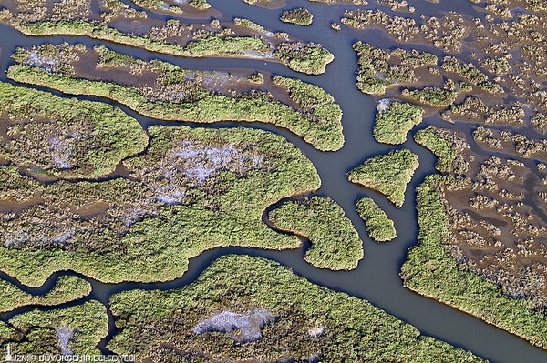 Gediz Delta: Nature's Silent Wonder