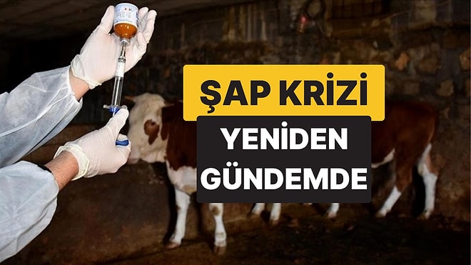 Kars ve Ardahan'da Başlayan Hastalık Artvin'e de Sıçradı: Üretici ve Tüketiciler Endişeli