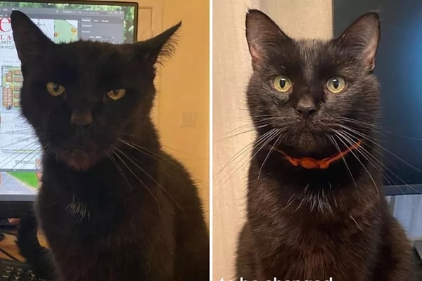 1. O zaman açılışımızı bu iç ısıtan değişimle yapalım! 😻
