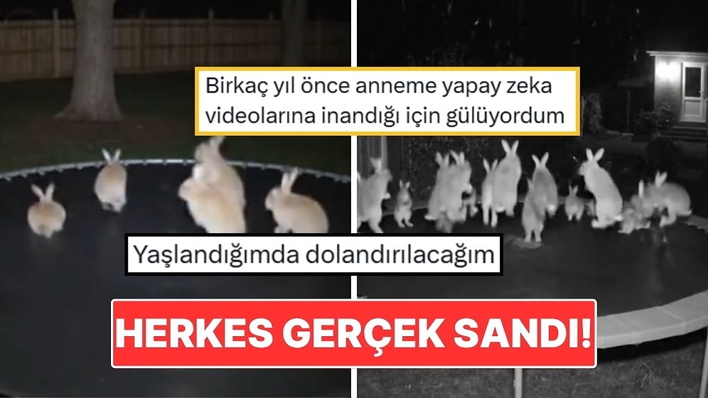 Trambolinde Zıplayan Tavşanların Videosu Bütün İnternet Alemini Kandırdı