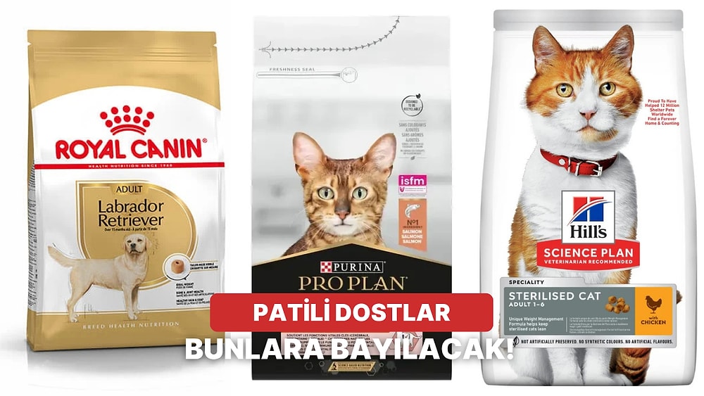 Tüylü Dostun Bu Habere Çok Sevinecek! Petzzshop İndirimlerinde Öne Çıkanlar