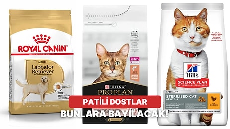 Tüylü Dostun Bu Habere Çok Sevinecek! Petzzshop İndirimlerinde Öne Çıkanlar