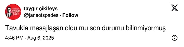 Tavuğun son durumunu merak ediyorsanız, maalesef henüz haber yok!