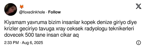 Her şey sığdı ama hayvanları sığdıramadık dünyaya... 👇