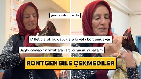 Tavuğuna Röntgen Çektirmek İsteyen Kadın Sosyal Medyada X-Ray Etkisi Yarattı
