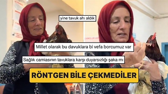 Tavuğuna Röntgen Çektirmek İsteyen Kadın Sosyal Medyada X-Ray Etkisi Yarattı