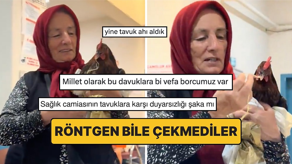 Tavuğuna Röntgen Çektirmek İsteyen Kadın Sosyal Medyada X-Ray Etkisi Yarattı