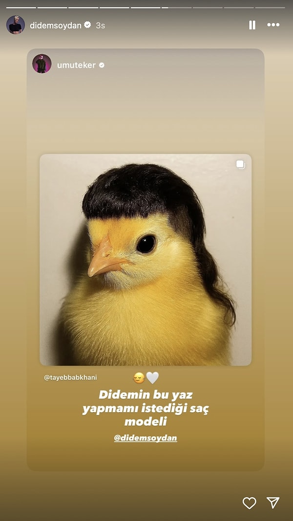 Didem Soydan