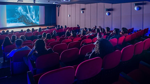 Beyoğlu Cinema and Pera Cinema – Festival Spirit and Artistic Selections