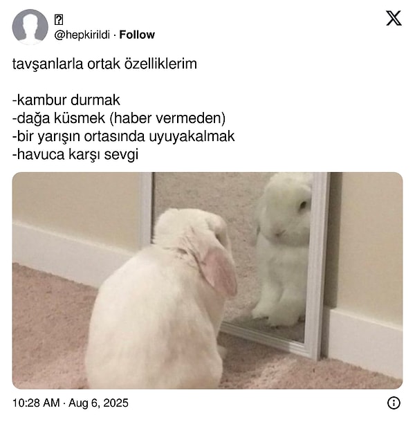 👇