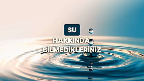 Yaşamın Kaynağı Olan Su Hakkında 12 İlginç Bilgi