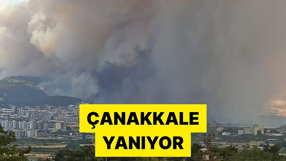 Üniversite ve Hastane Boşaltılıyor! Çanakkale'de Başlayan Orman Yangını Yerleşim Yerlerine Yaklaştı