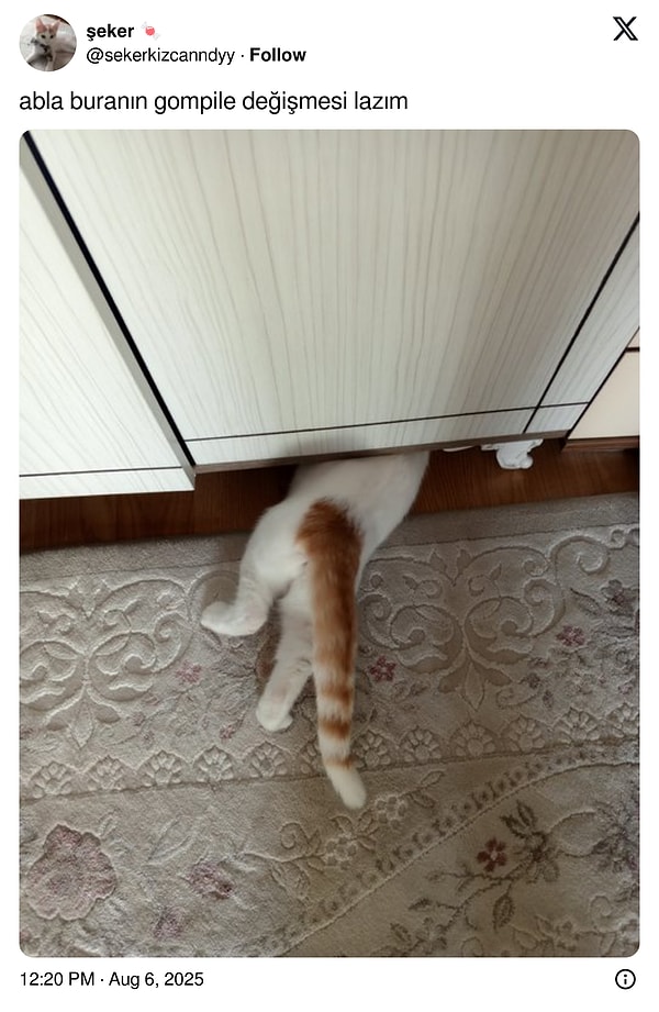 Usta masraf çıkarma derdinde...