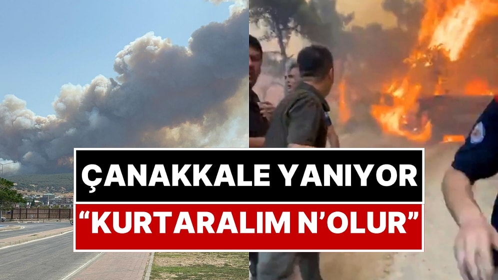 Çanakkale'de Orman Yangını: Boğaz ve Havalimanı Kapatıldı, Üniversite Kampüsü Boşaltıldı!